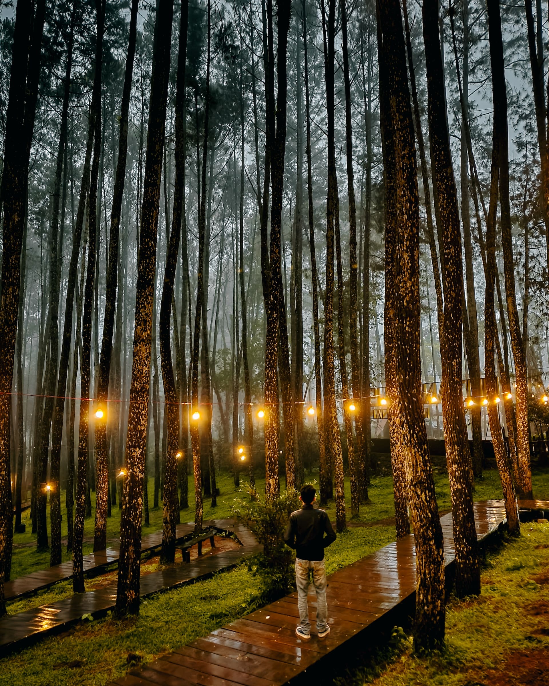 Gambar Paket Wisata Paket Wisata Jogja 4 Hari 3 Malam